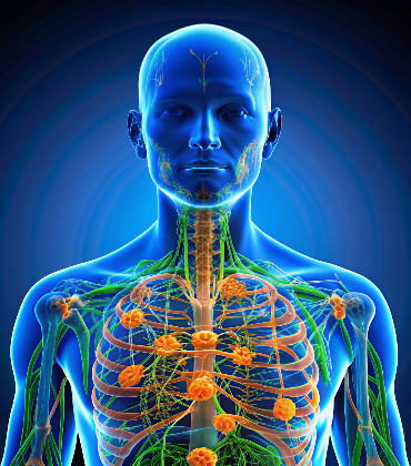 Invasive Lobular Carcinoma (ILC)