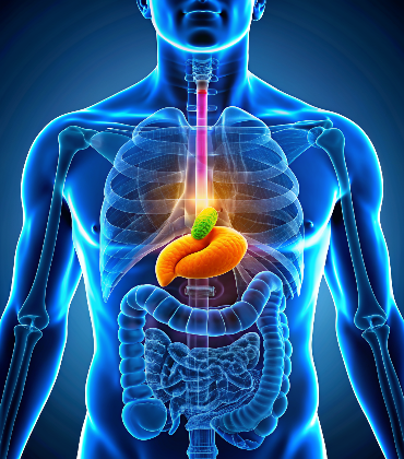 Invasive Lobular Carcinoma (ILC)