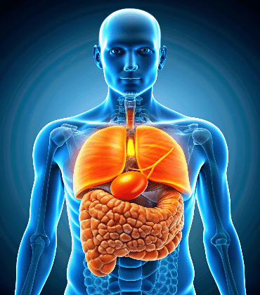 Invasive Lobular Carcinoma (ILC)