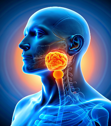 Invasive Ductal Carcinoma (IDC)